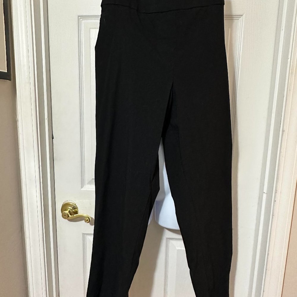 Plus Size EVRI™ All About Comfort Pull-On Career Pants